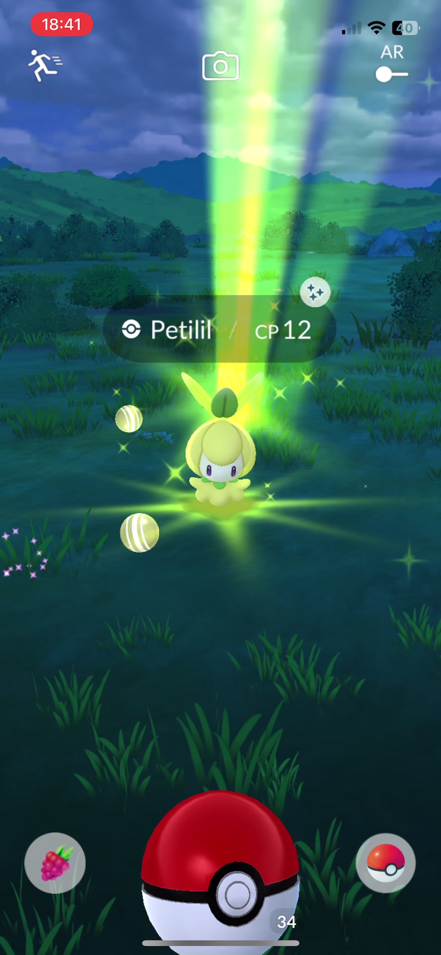 @pokebloxy