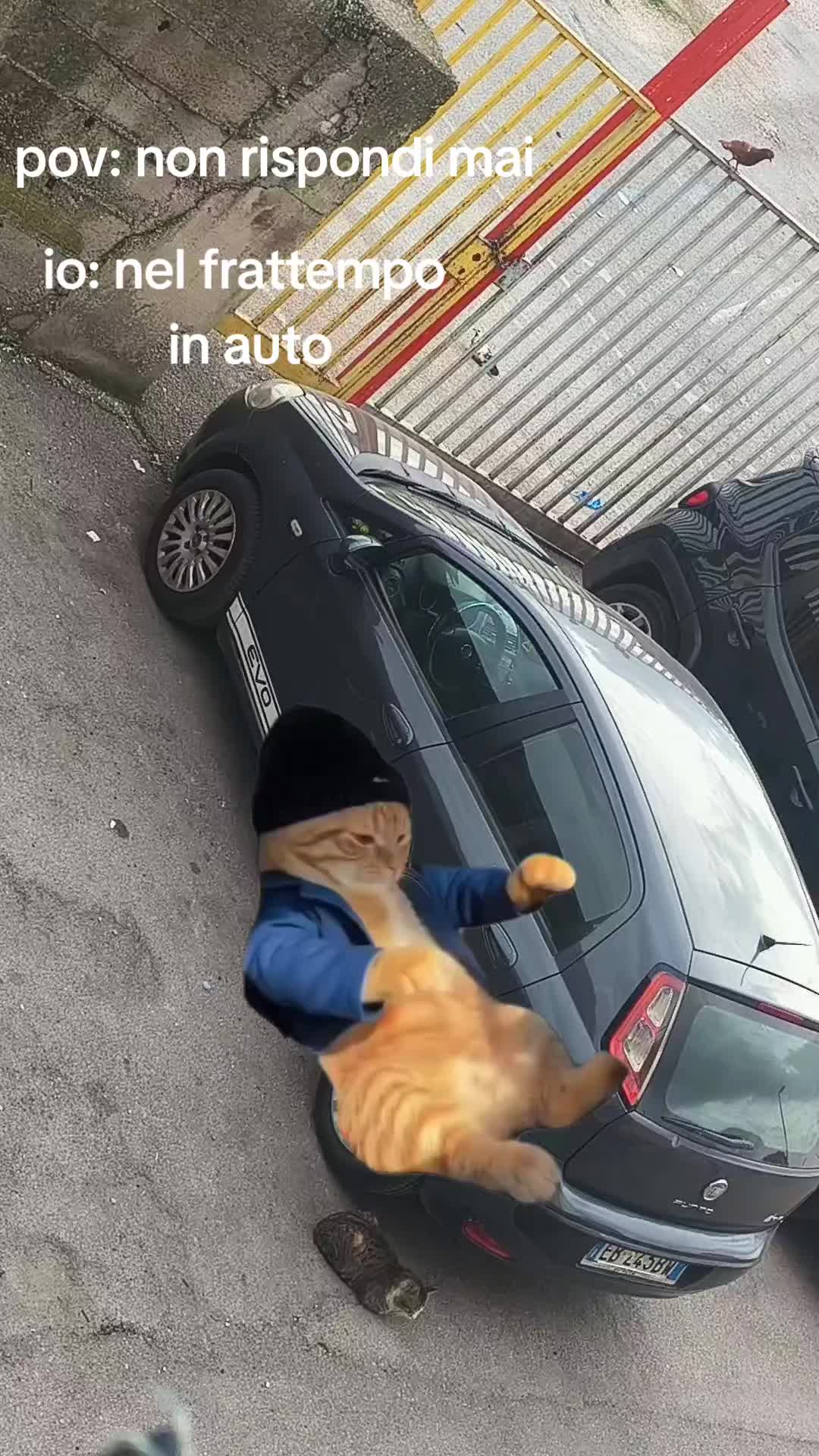 @Marcello.castaldi 1996 🕷️