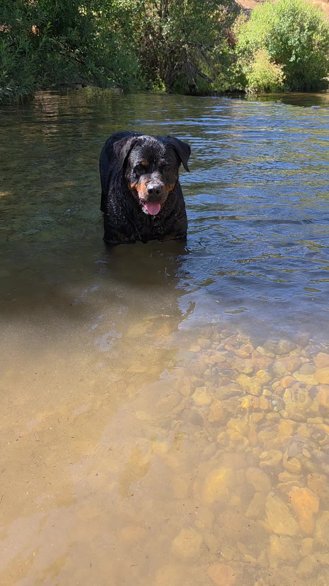 @❤️KyRa❤️RoTTie