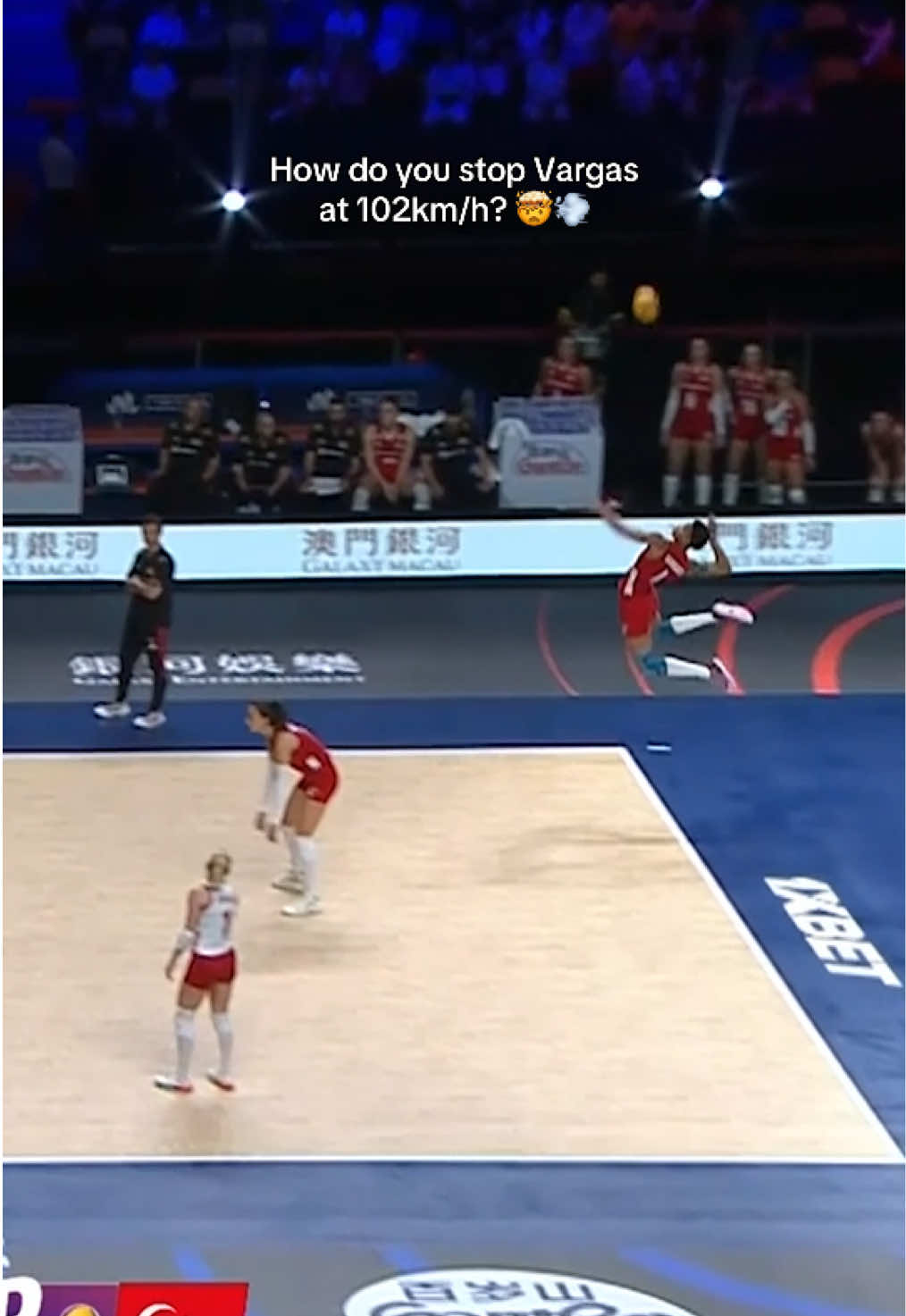 @Volleyball World