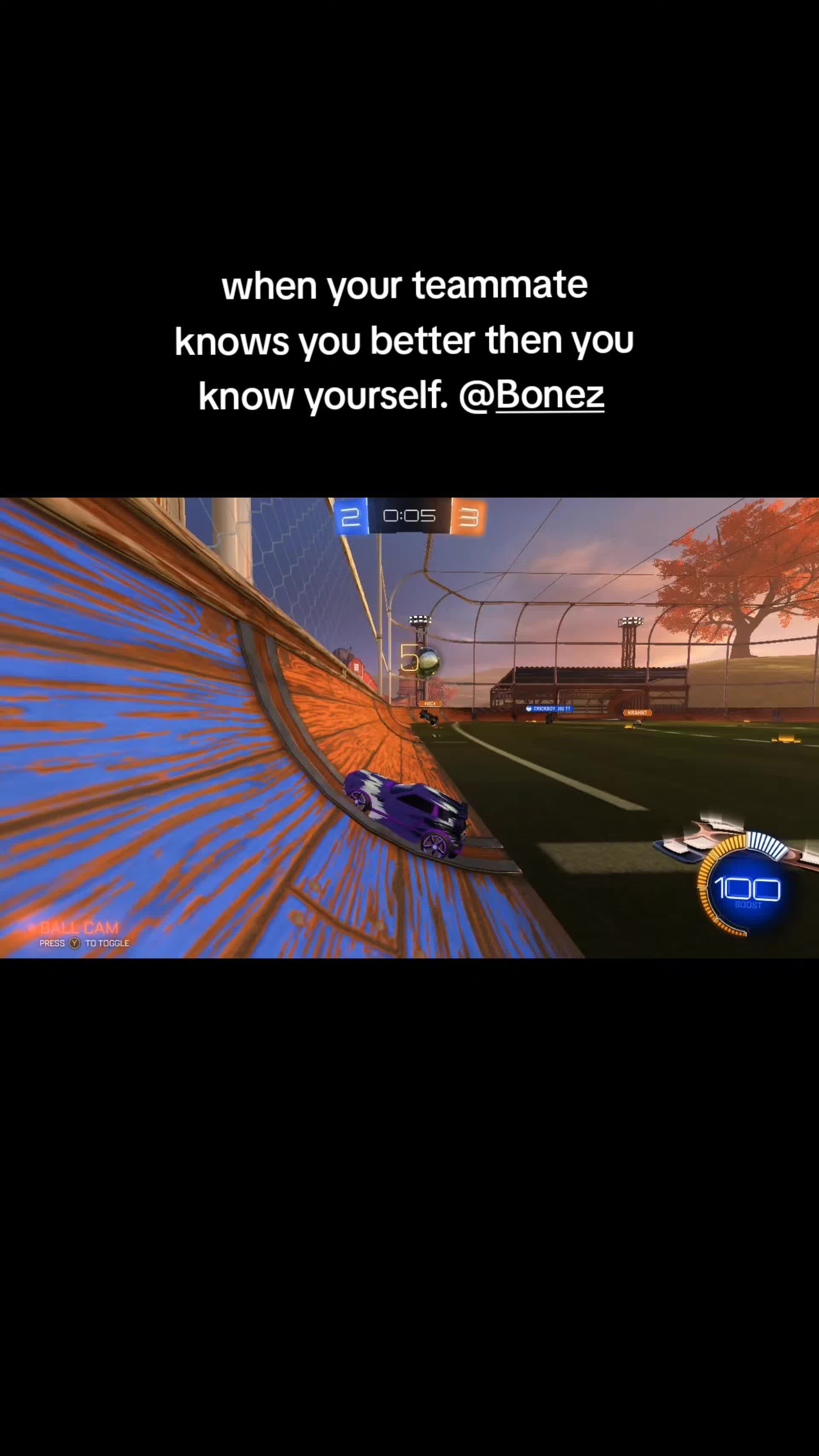 @That1BearGuy - RL