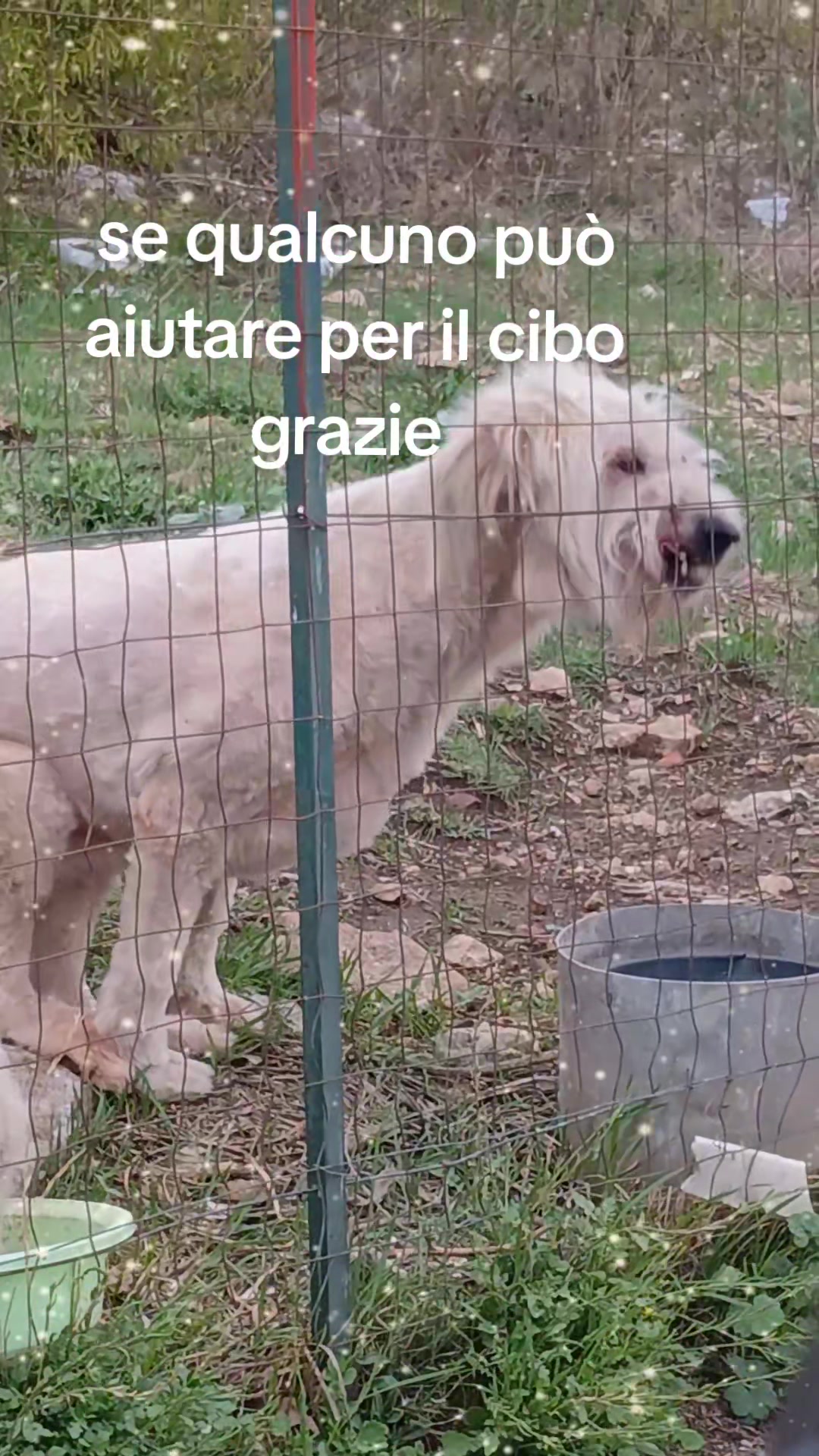 @Maria Grazia