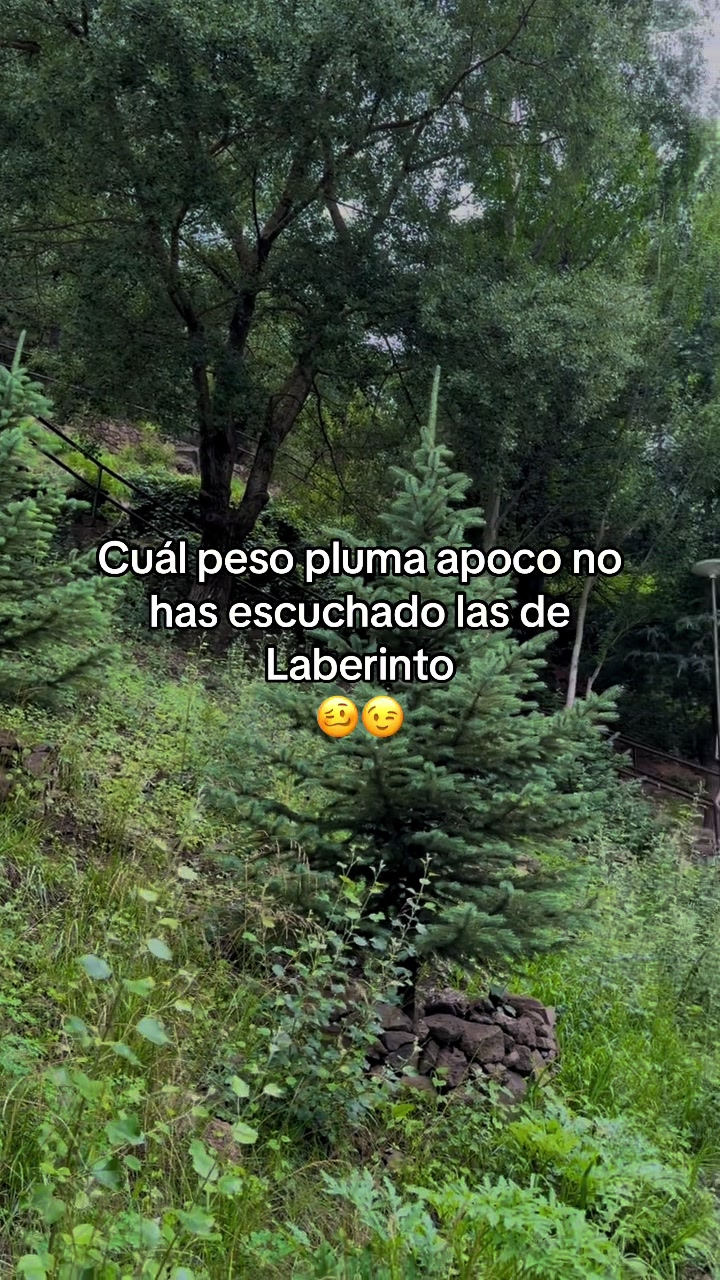 @ErickValenzuela