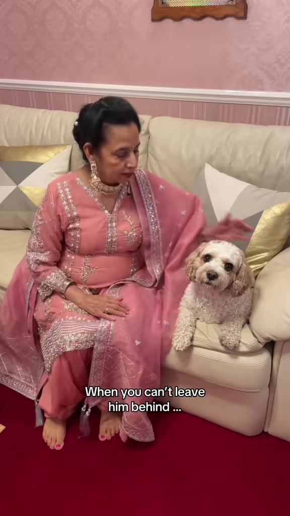 @My Cavachon