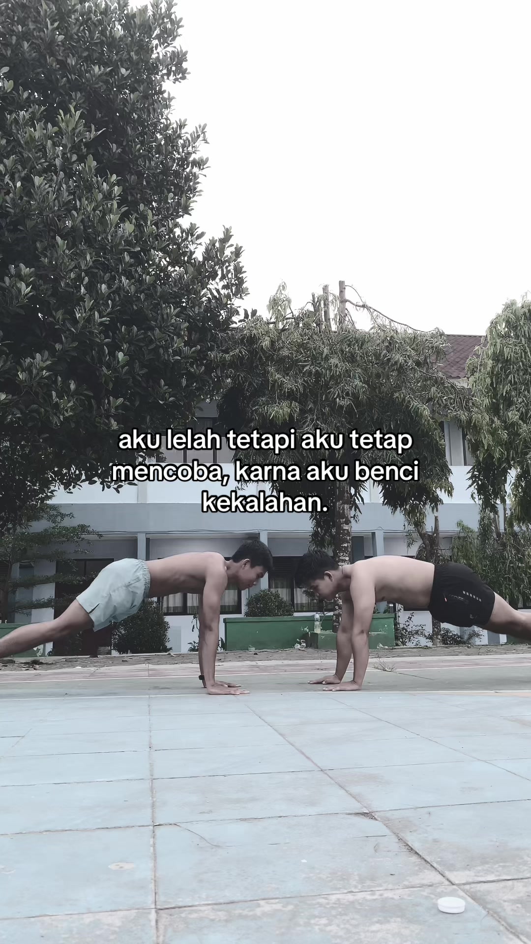 @alfar