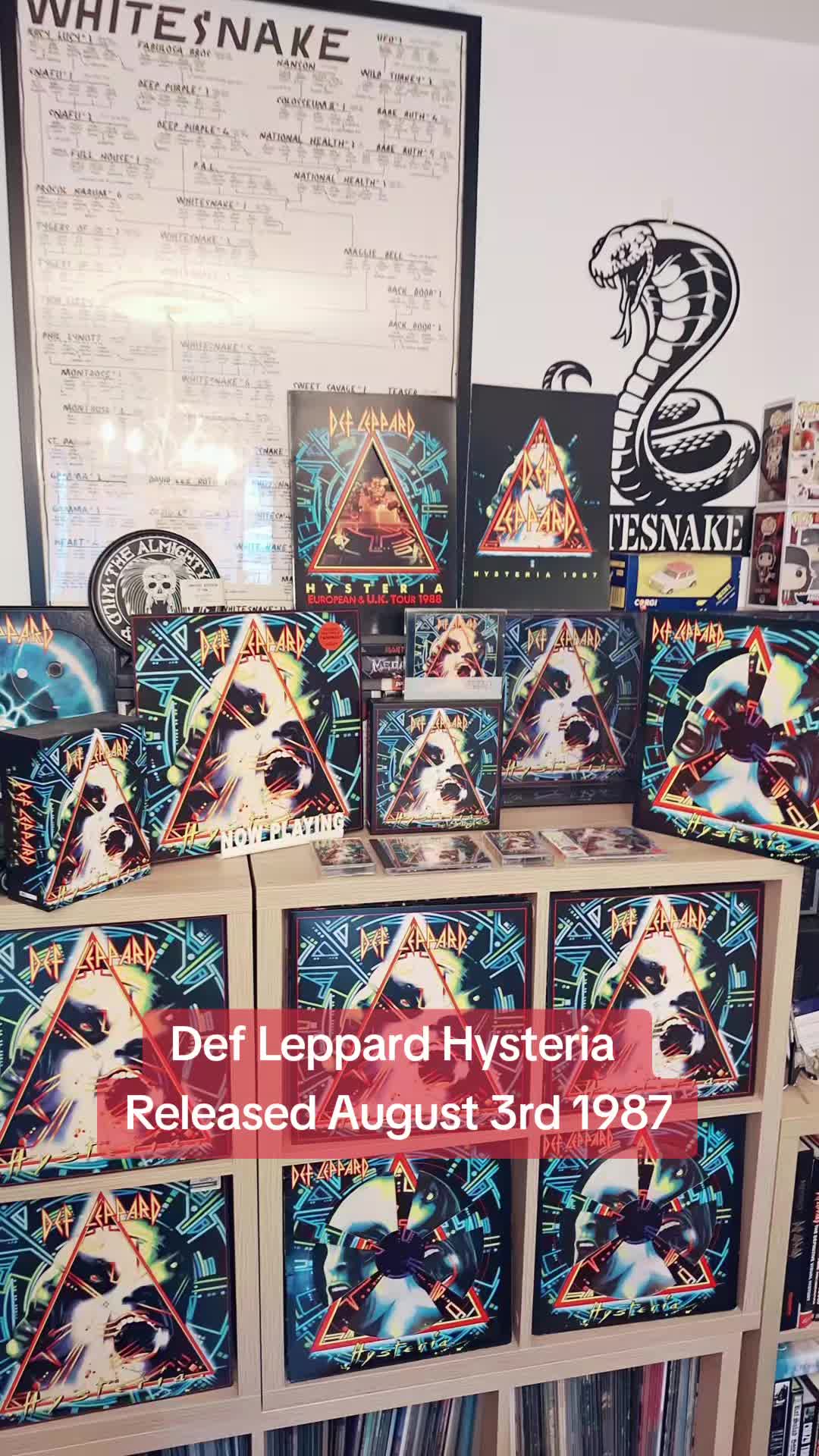 @VINYLIZER
