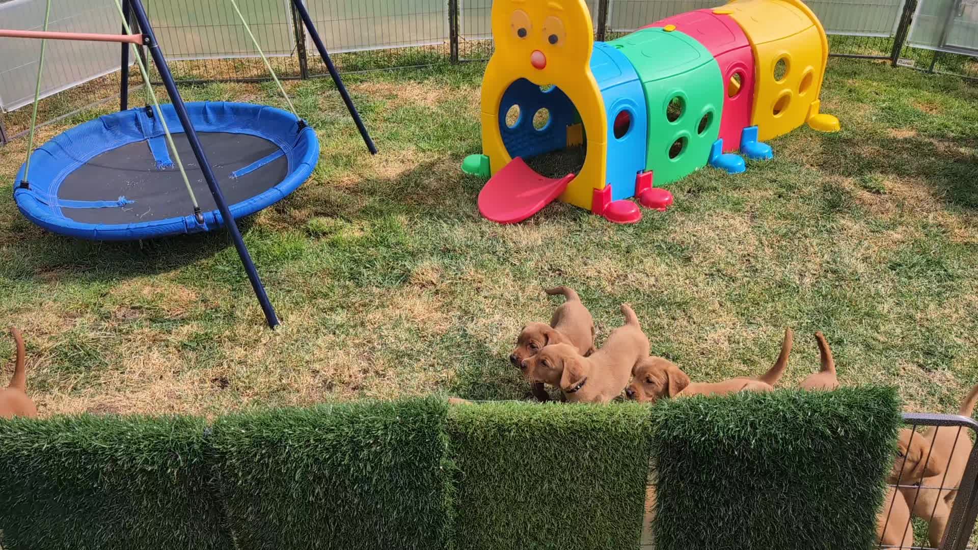 @Dreamherts