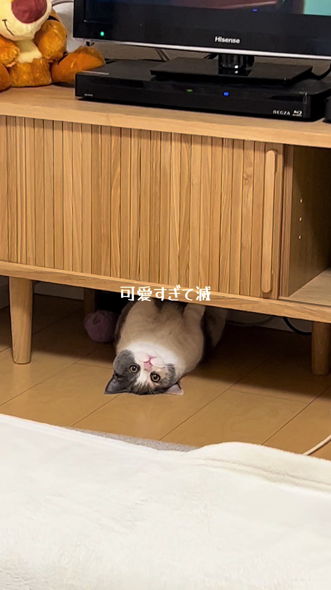 @うにぽて