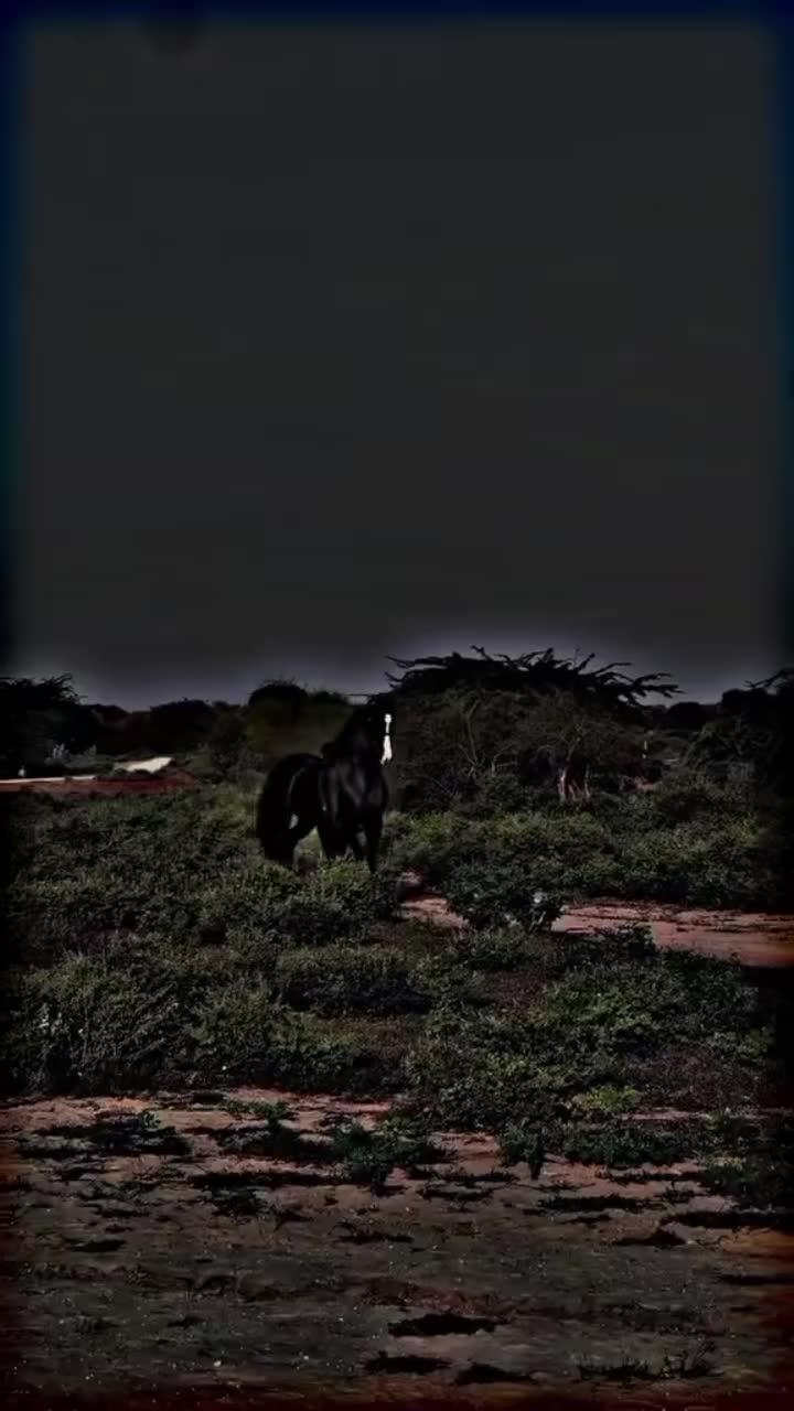 @⫸𝙈𝙞𝙍𝙯𝘼✫𝙎𝙖𝙍𝙆𝙖𝙍✫⫷