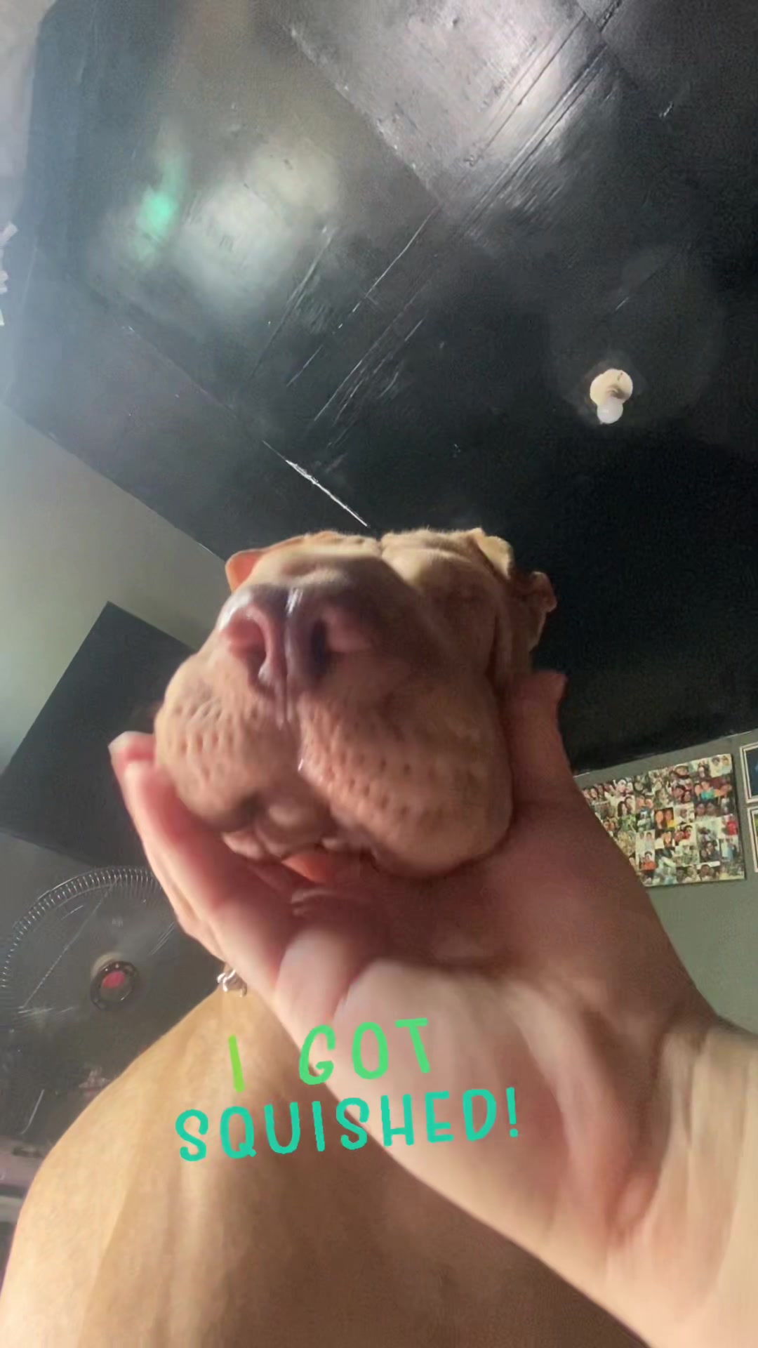 @Champ The Pei