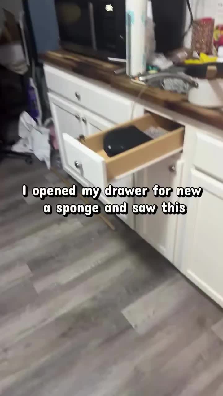 @crissofly82