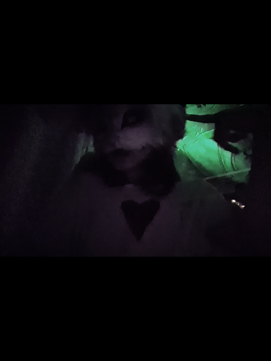 @☆🦇 𐌊𐌀𐌉𐌕𐌏 🦇 ☆