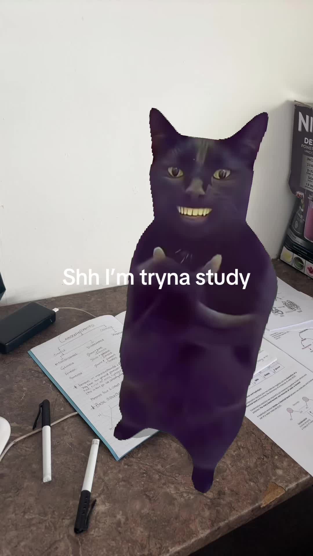 @kamsyy💕✨