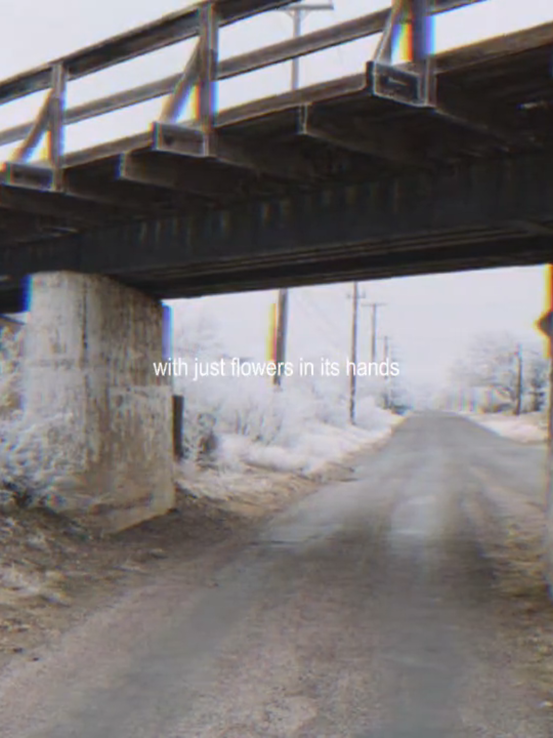 @ᴢxᴄᴜʀʀʏ♫︎