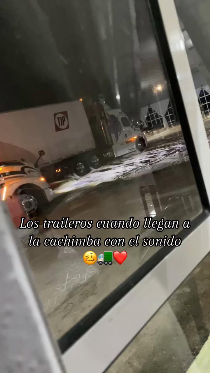 @mirandasanchez497🐷🚛✨