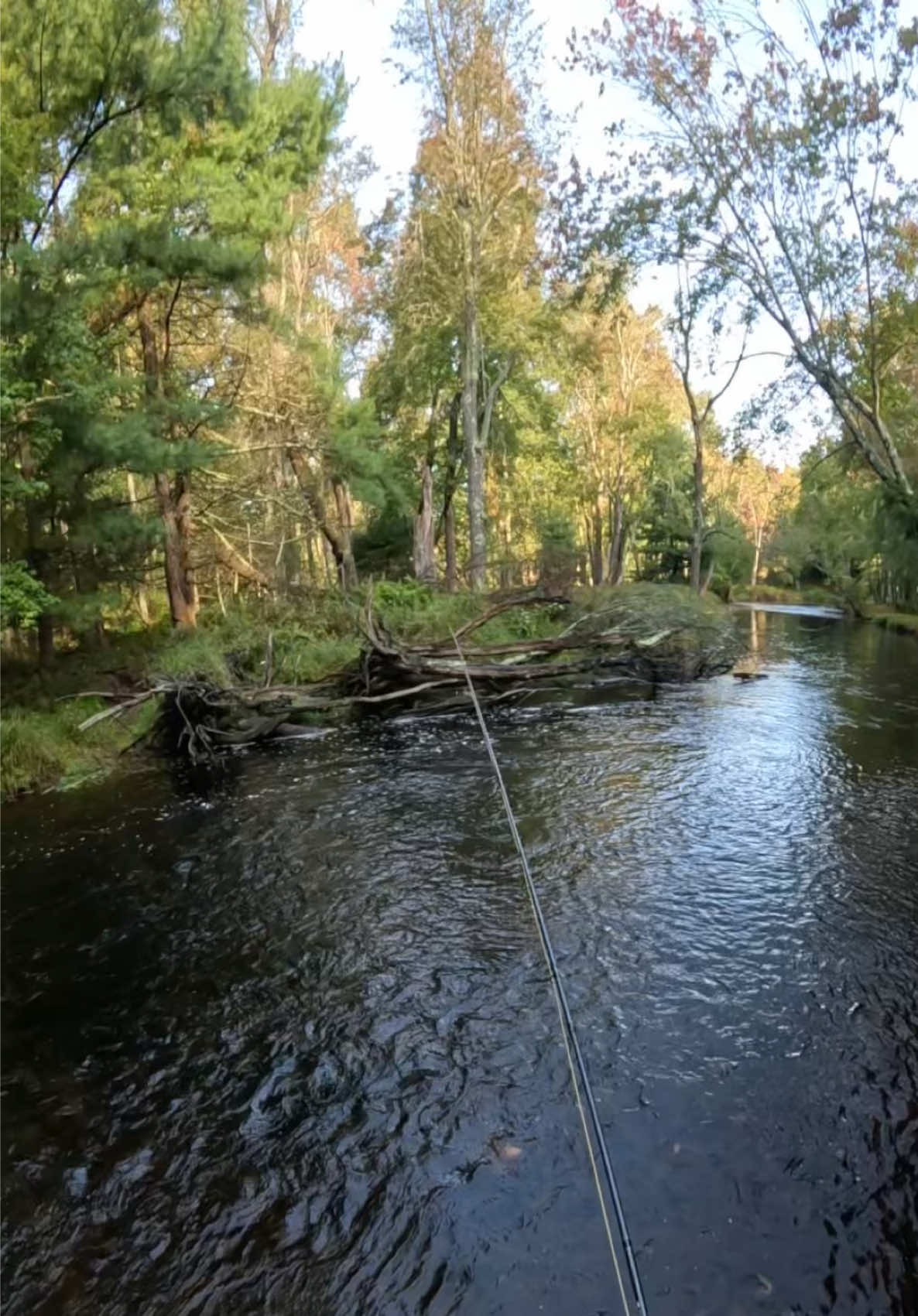 @FlyFishDelawhere
