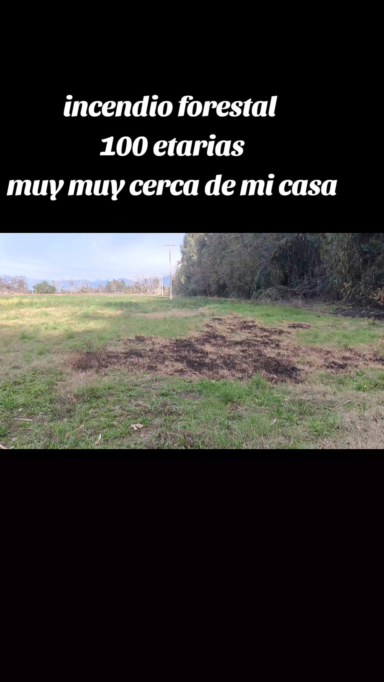 @tomi