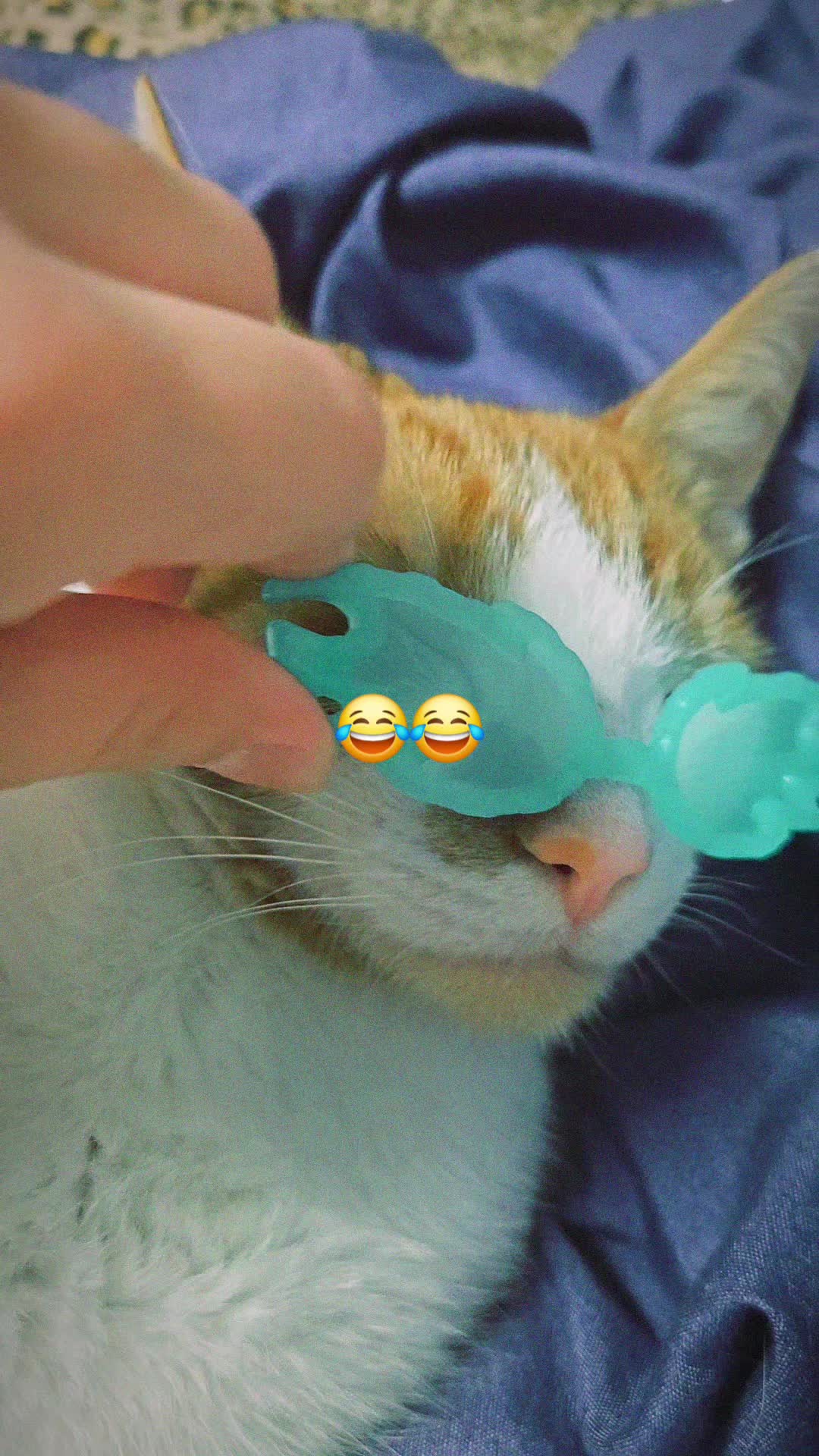 @🫧♧17M♤