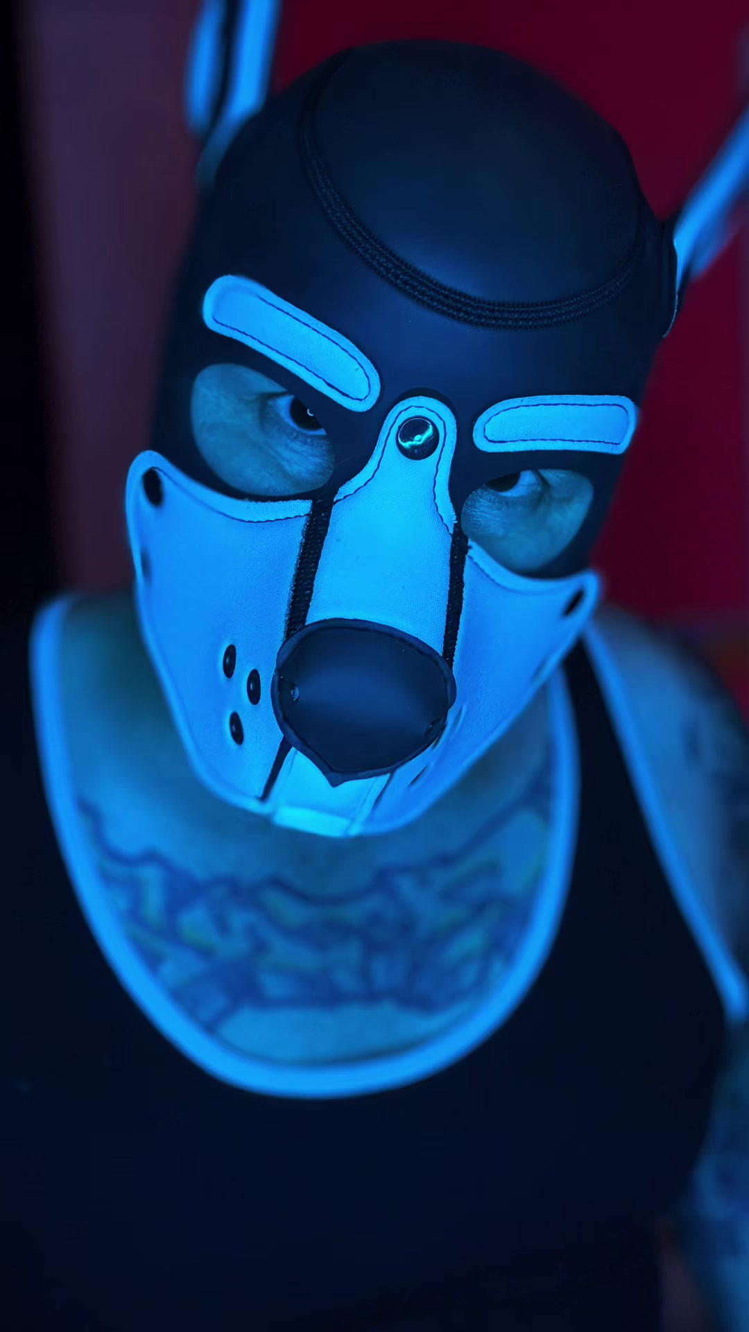 @Phatty