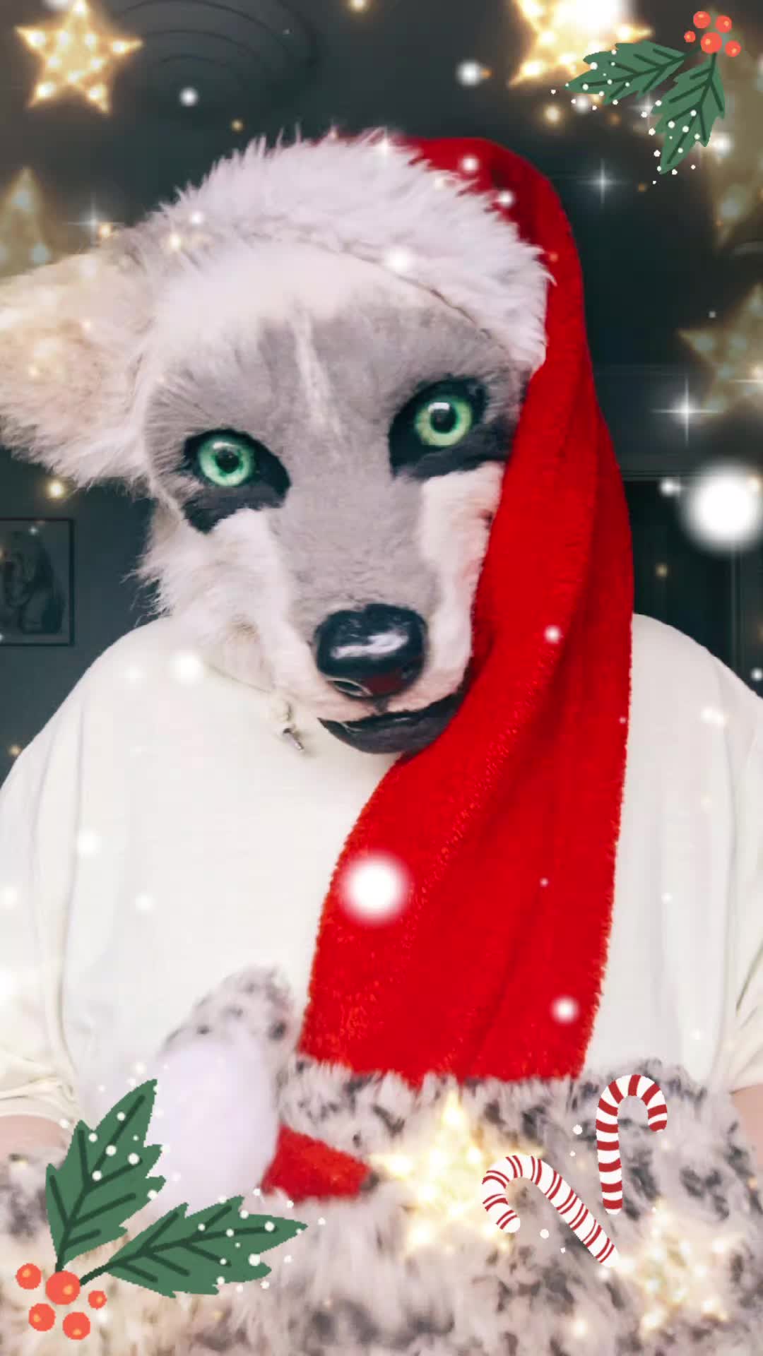 @ℂ/𝕃 🌟