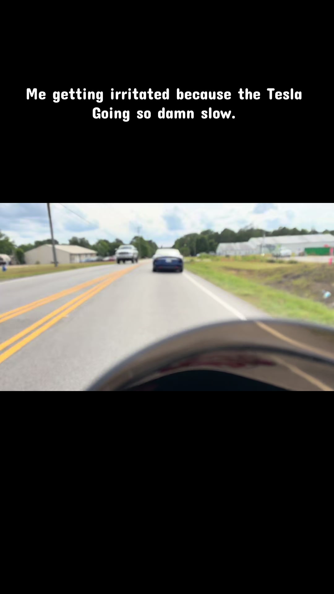 @ladyziptieon2’s
