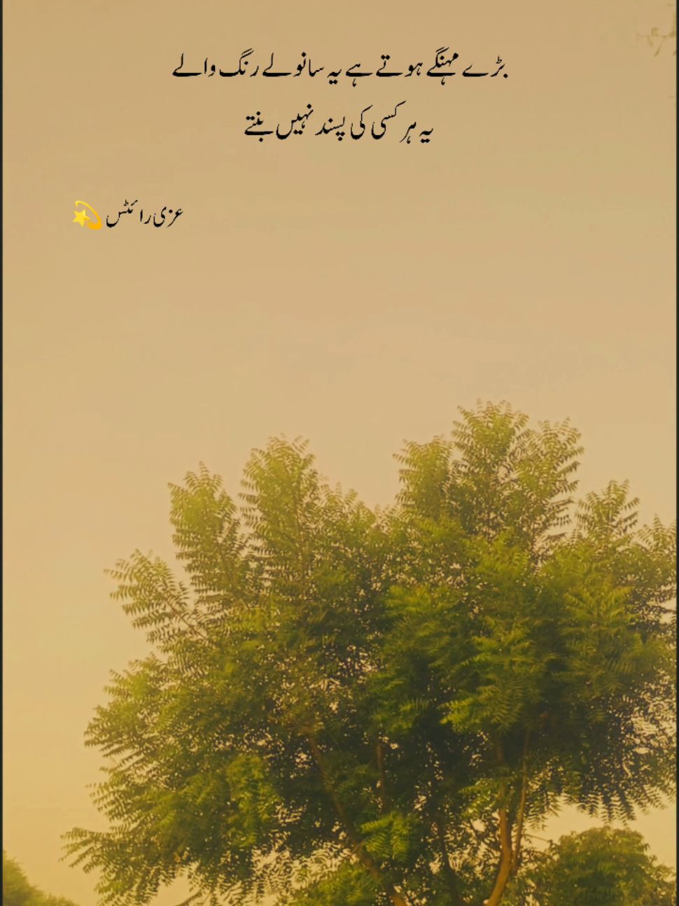 @Uzii write💫