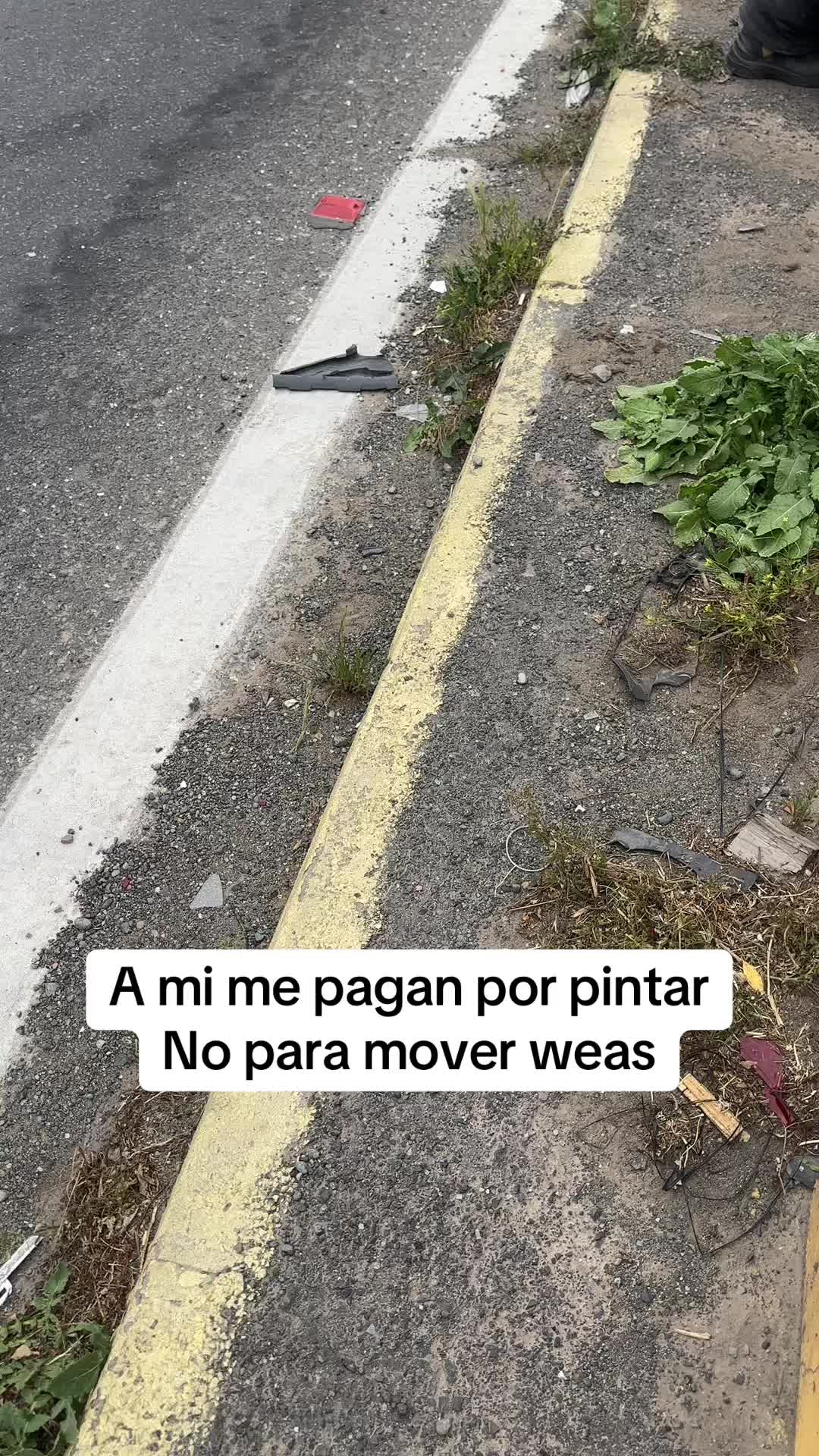 @Williams EM