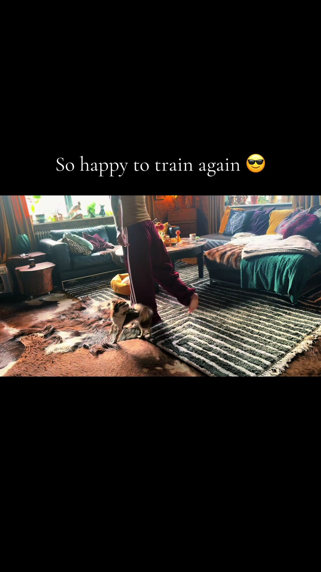 @MorrisMiniDog