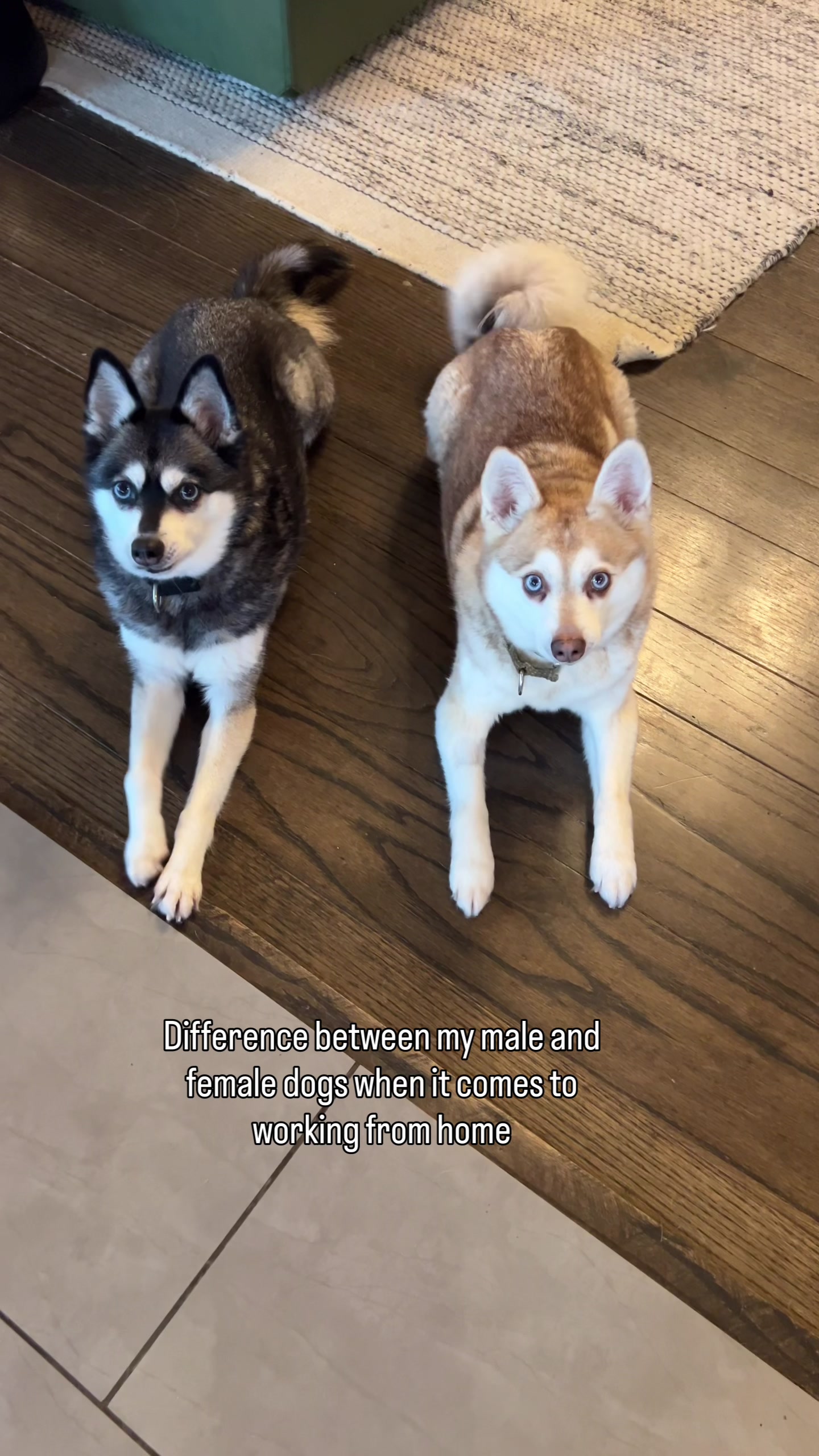 @lifewithkleekai