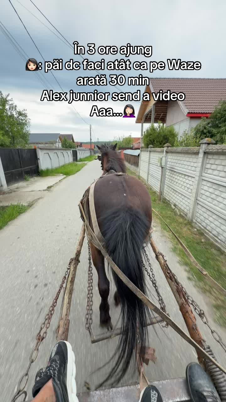 @🎼Alex junnior 🎼
