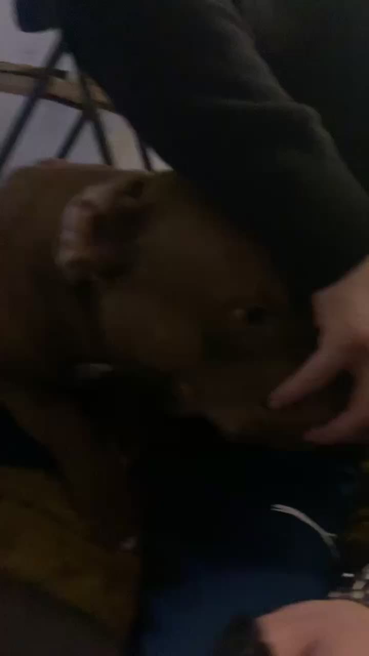 @Lacrapule76