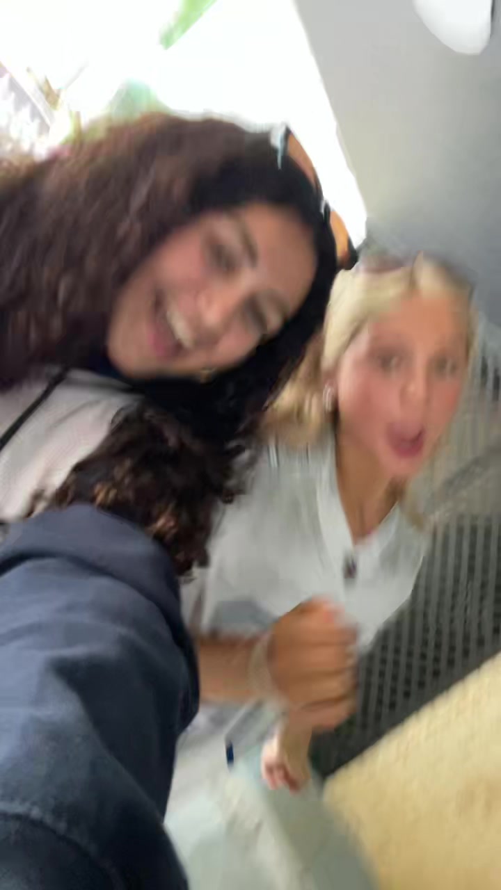 @Maya