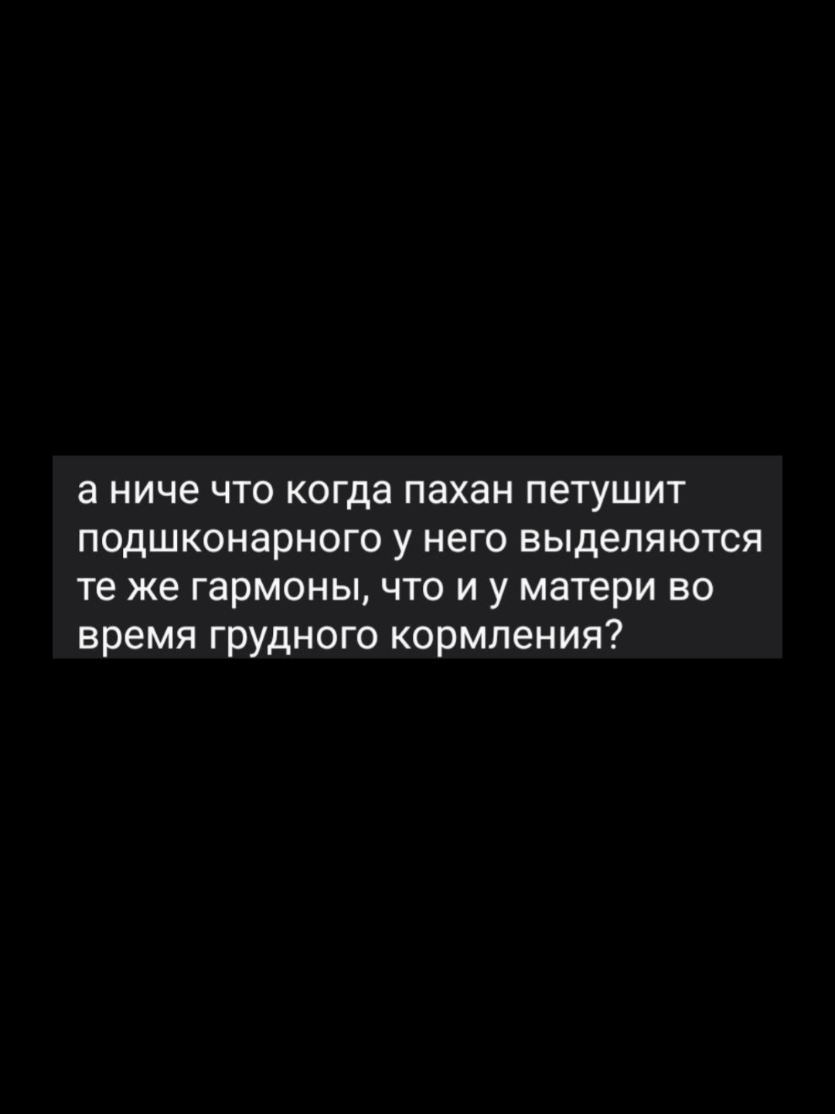 @макс крематорій