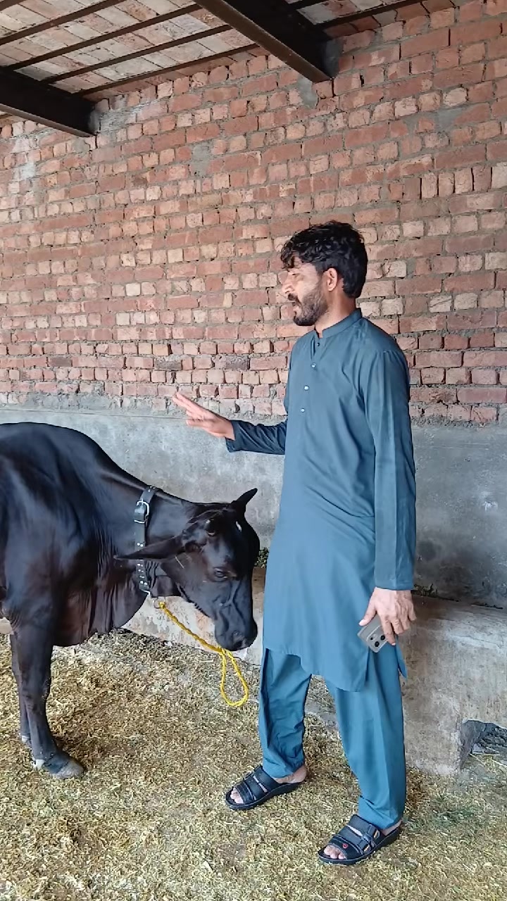 @Farming and Business Ideas
