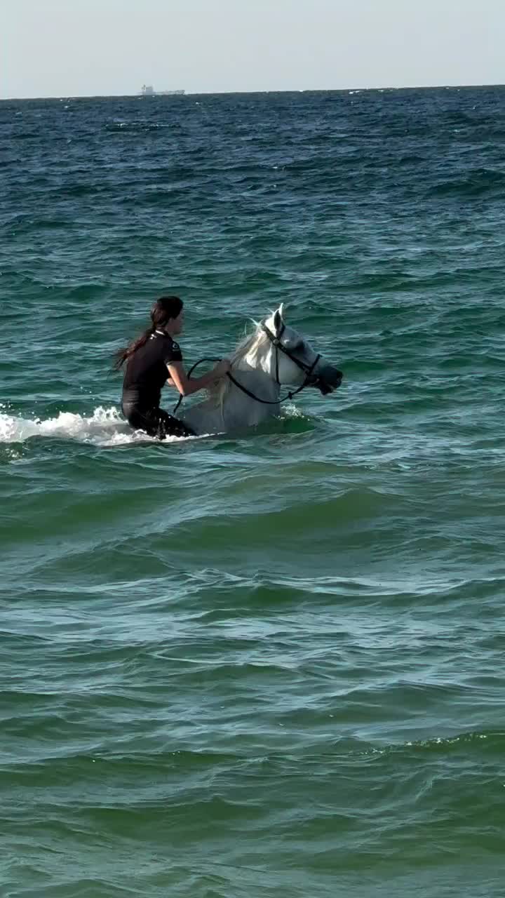 @ThunderGallops