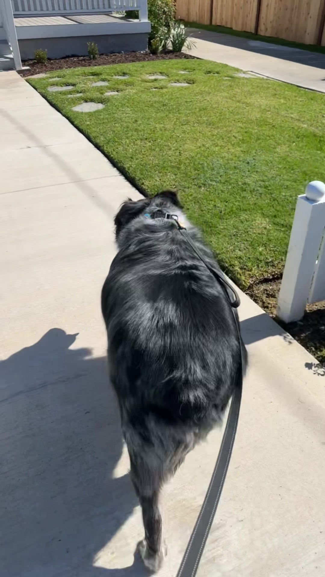 @FITPUP Mobile Dog Gym
