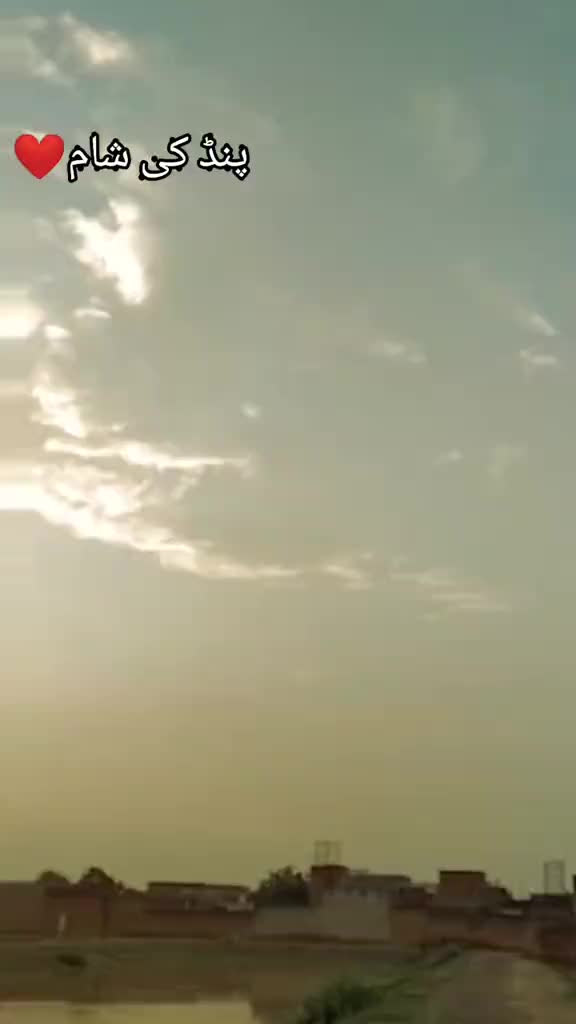@💝شانی سندھو 🌱🌾