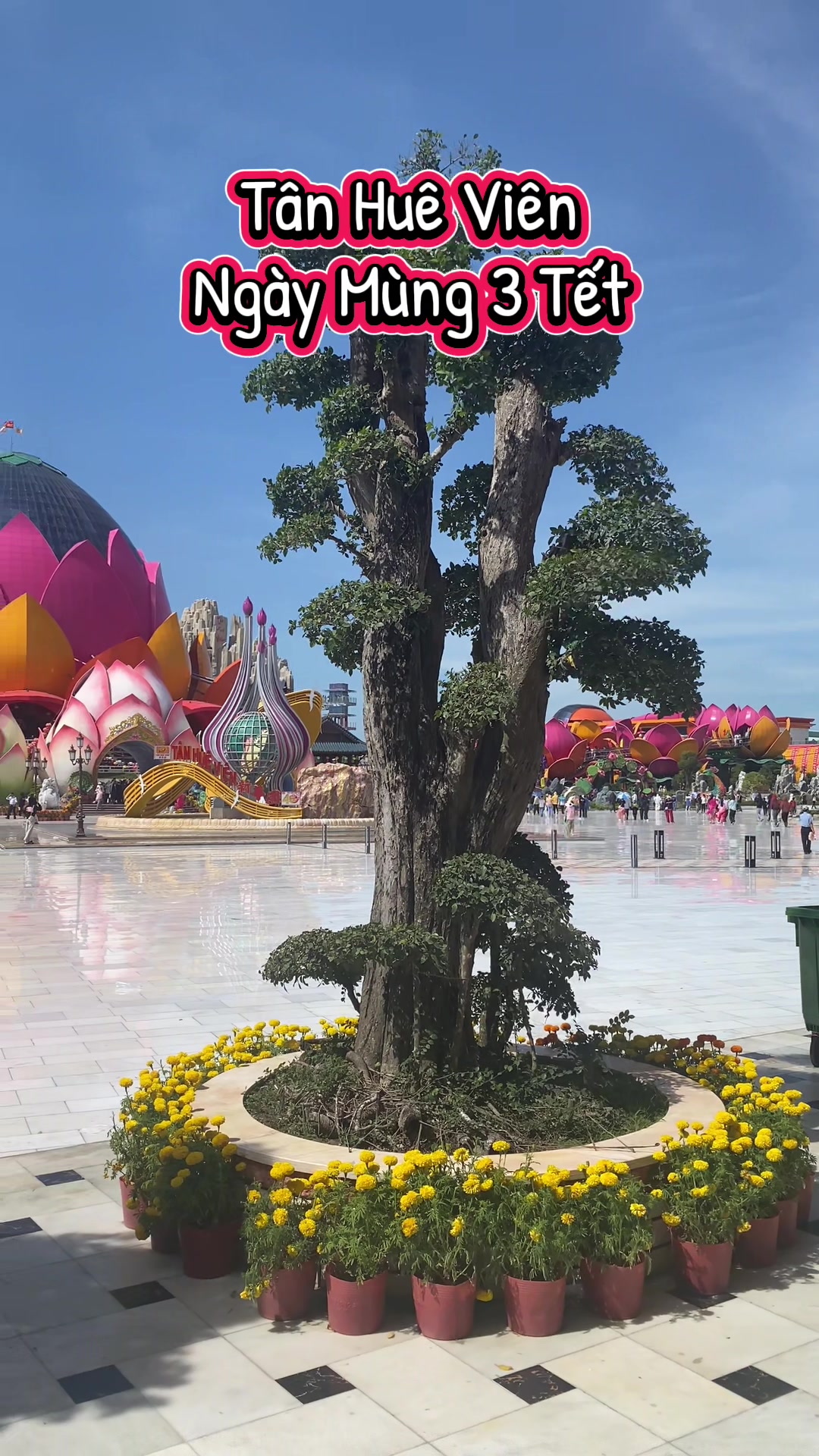 @L&ecirc; Quyền