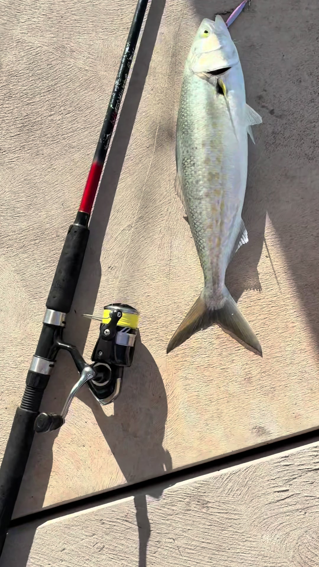 @Jay fishing acc