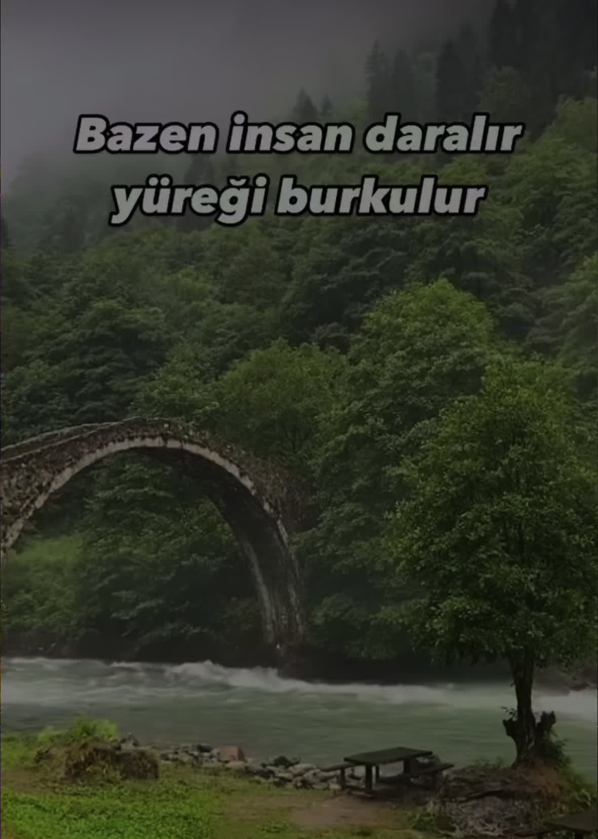 @İslam sayfası 🌸