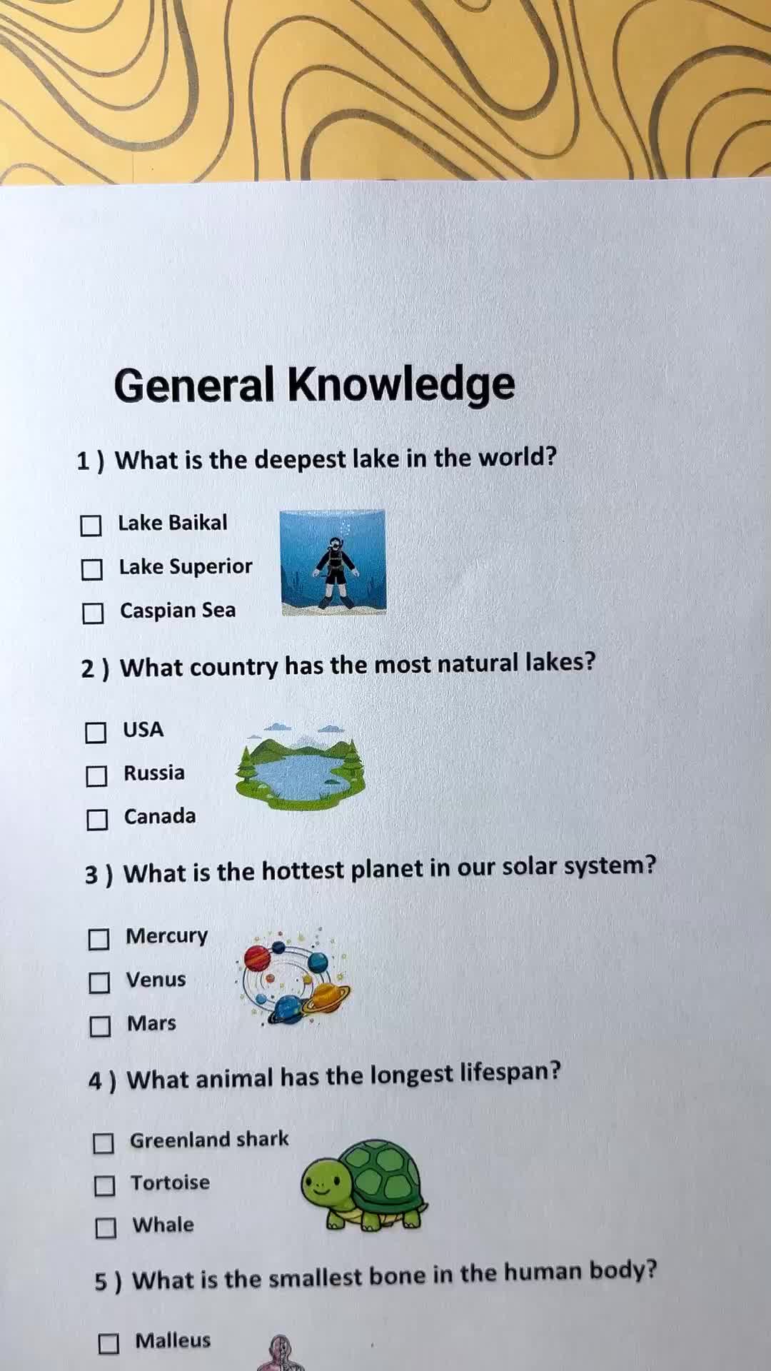 @Daily Quiz