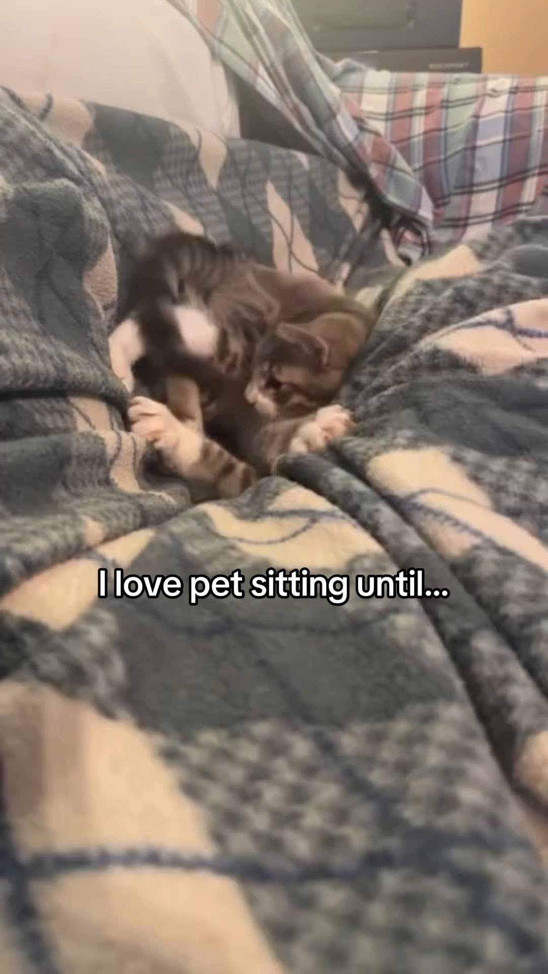 @official.cole.streams