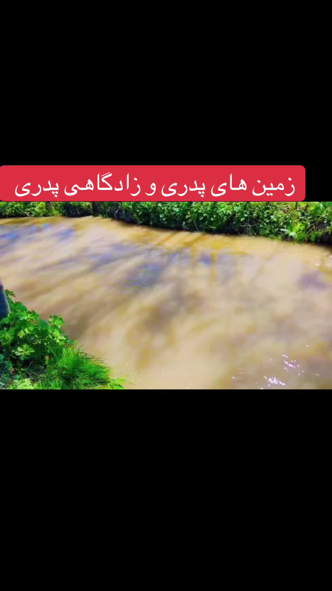 @Sadullah Azizi46