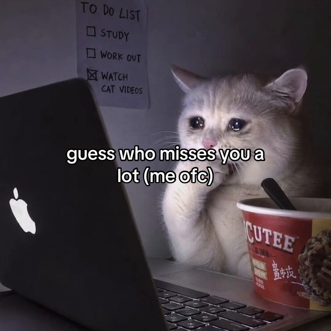 @Alice.cattok