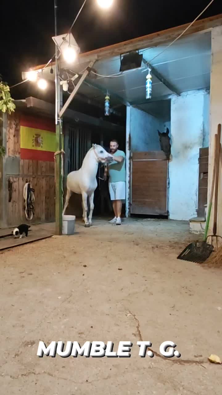 @pietrocanino