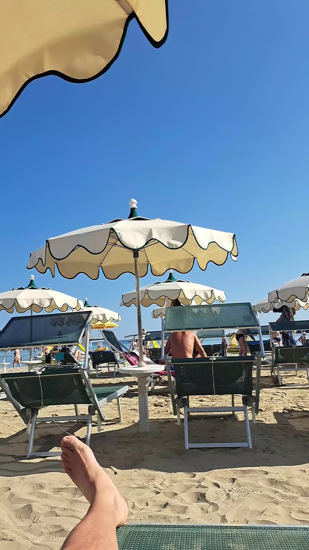 @Angelo Gatto 1