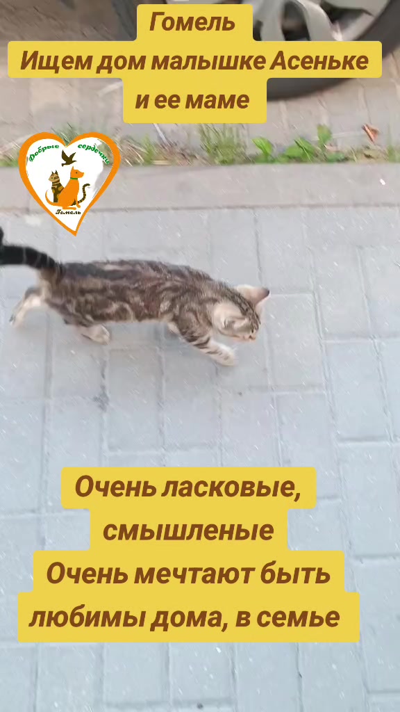 @Марина