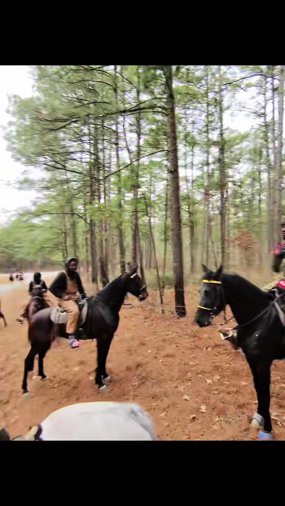 @Devin White ๐ GetLiveStables