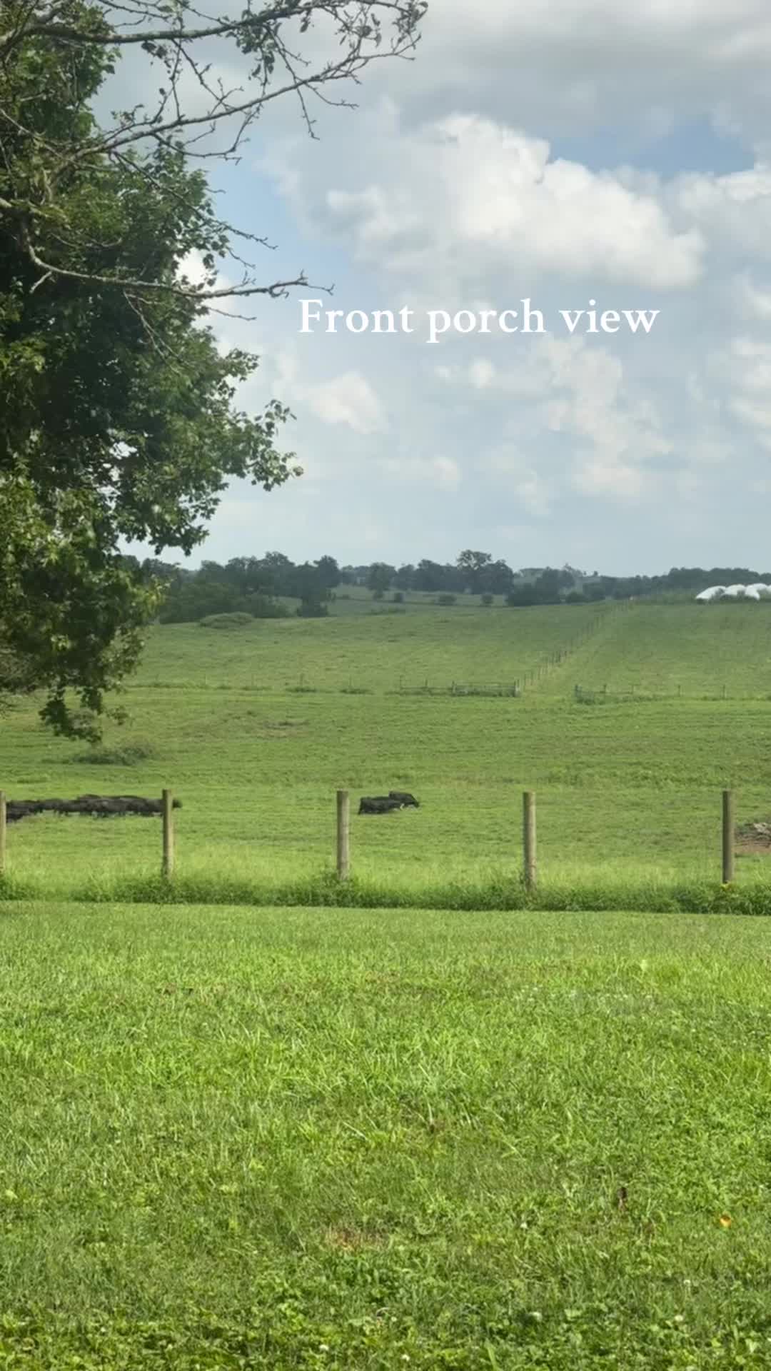 @rrfcattle