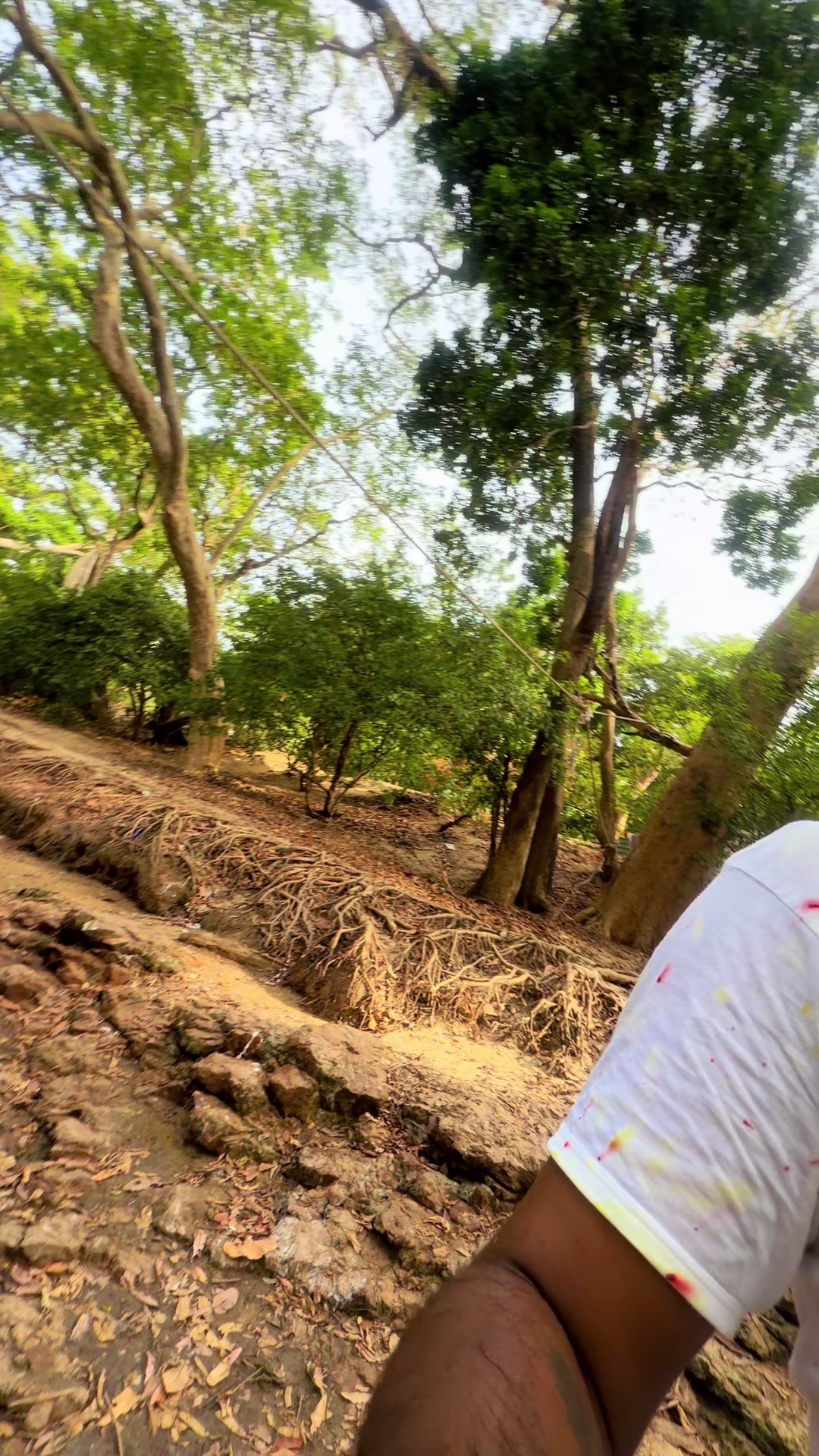 @Monkey Tours Sri Lanka